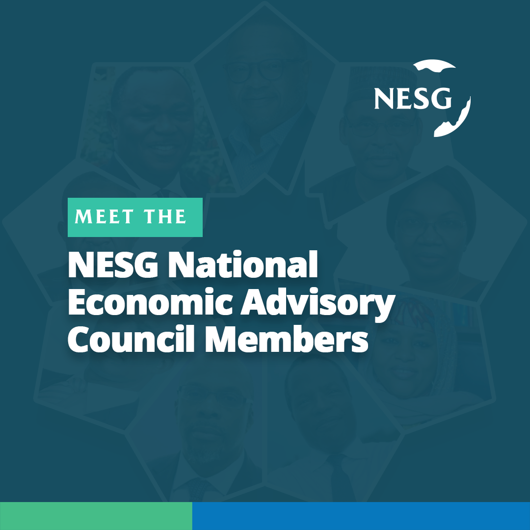 NESG Inaugurates Advisory Council to Champion Economic Reforms